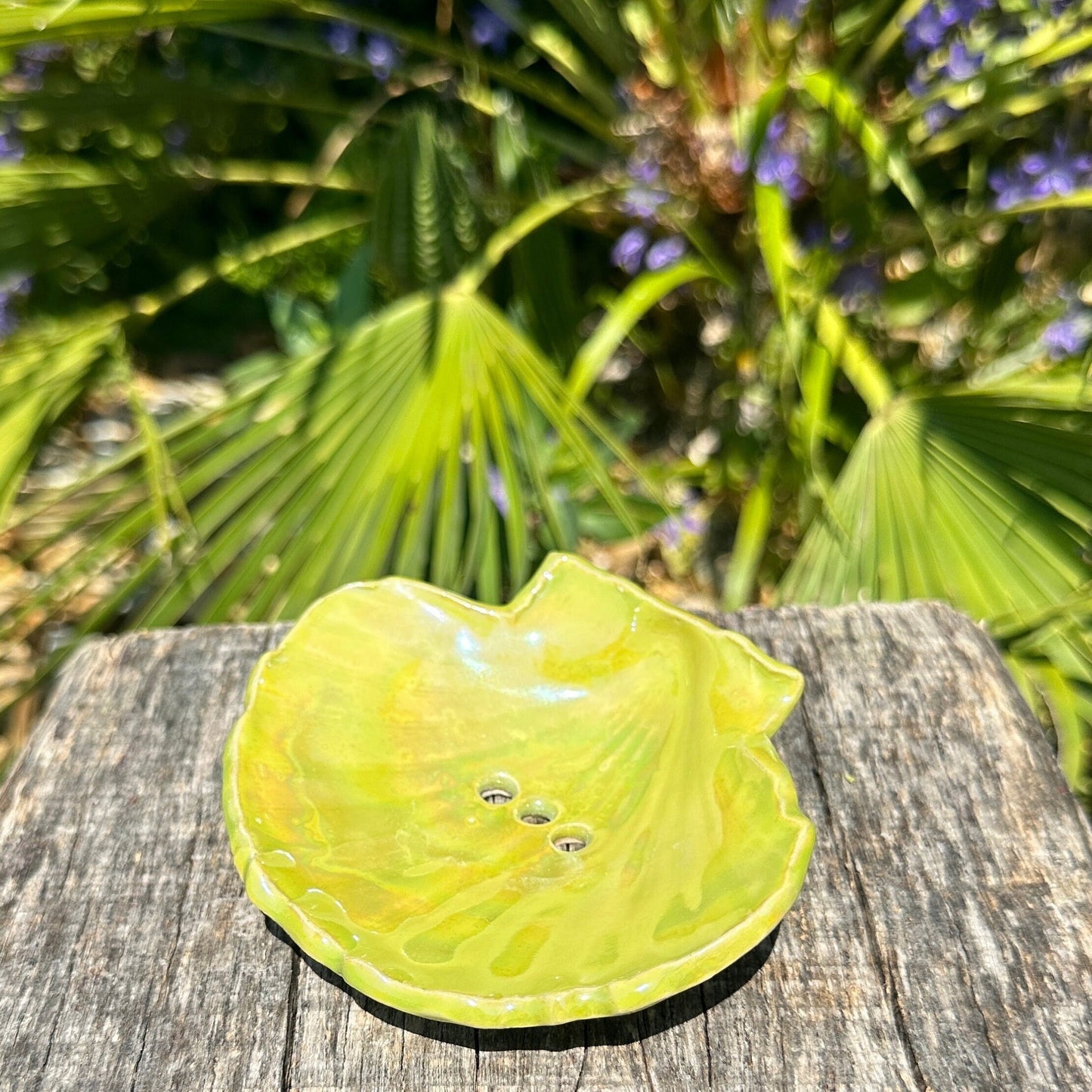 Green Soap Dish, Ceramic Sea Shell