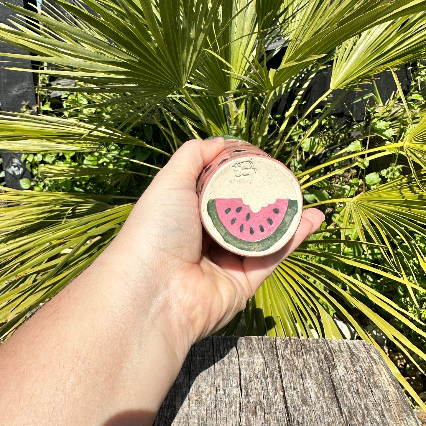 Ceramic Watermelon Drinks Tall Tumbler, Large Pink and Green Water Cup