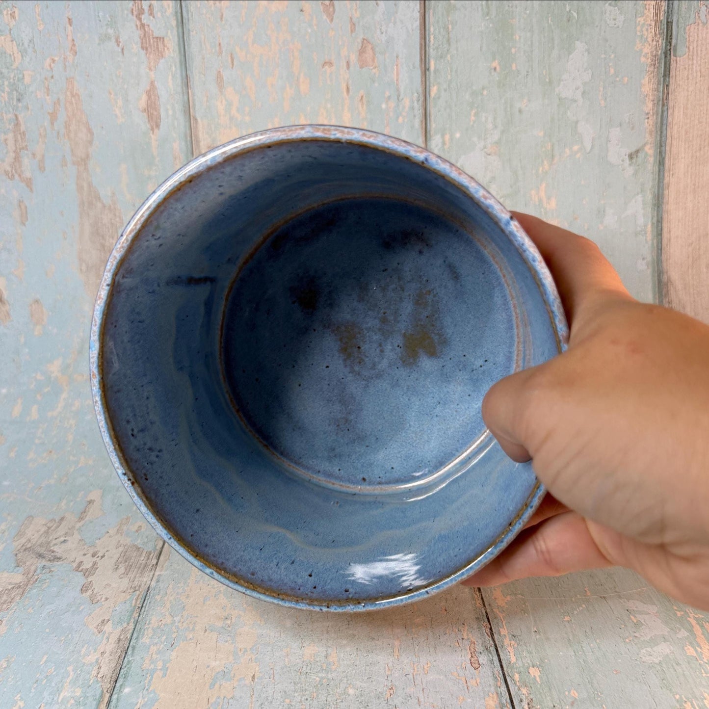 Blue Dinosaur Planter, Ceramic Plant Pot