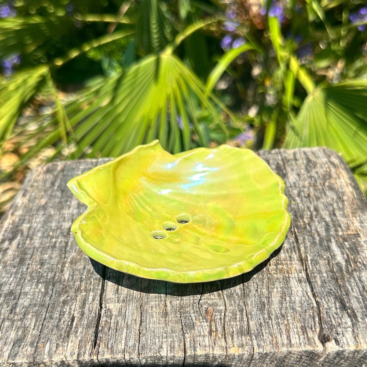 Green Soap Dish, Ceramic Sea Shell
