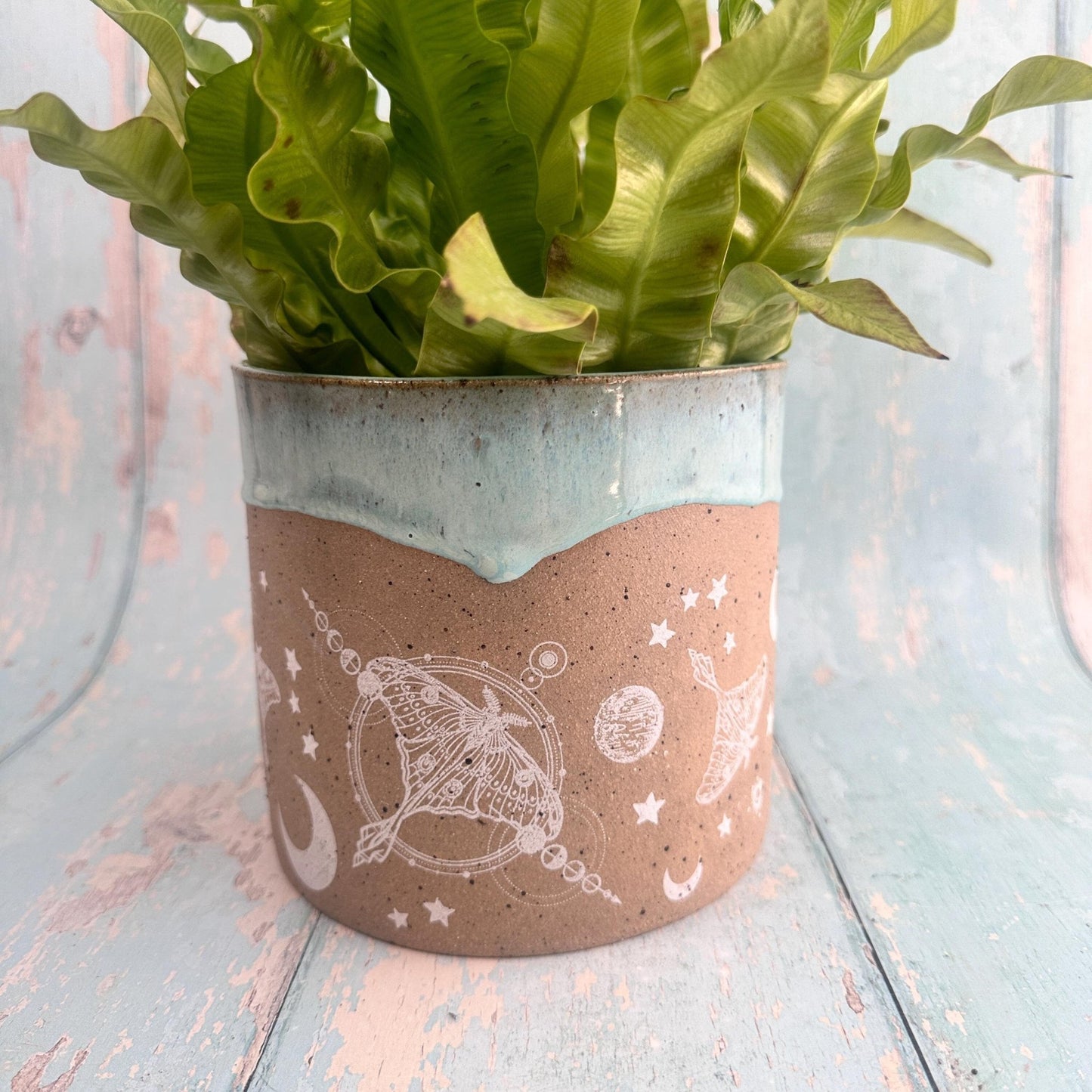 Aqua Green Moth and Moon Ceramic Planter, Indoor Plant Pot - FJD Ceramics