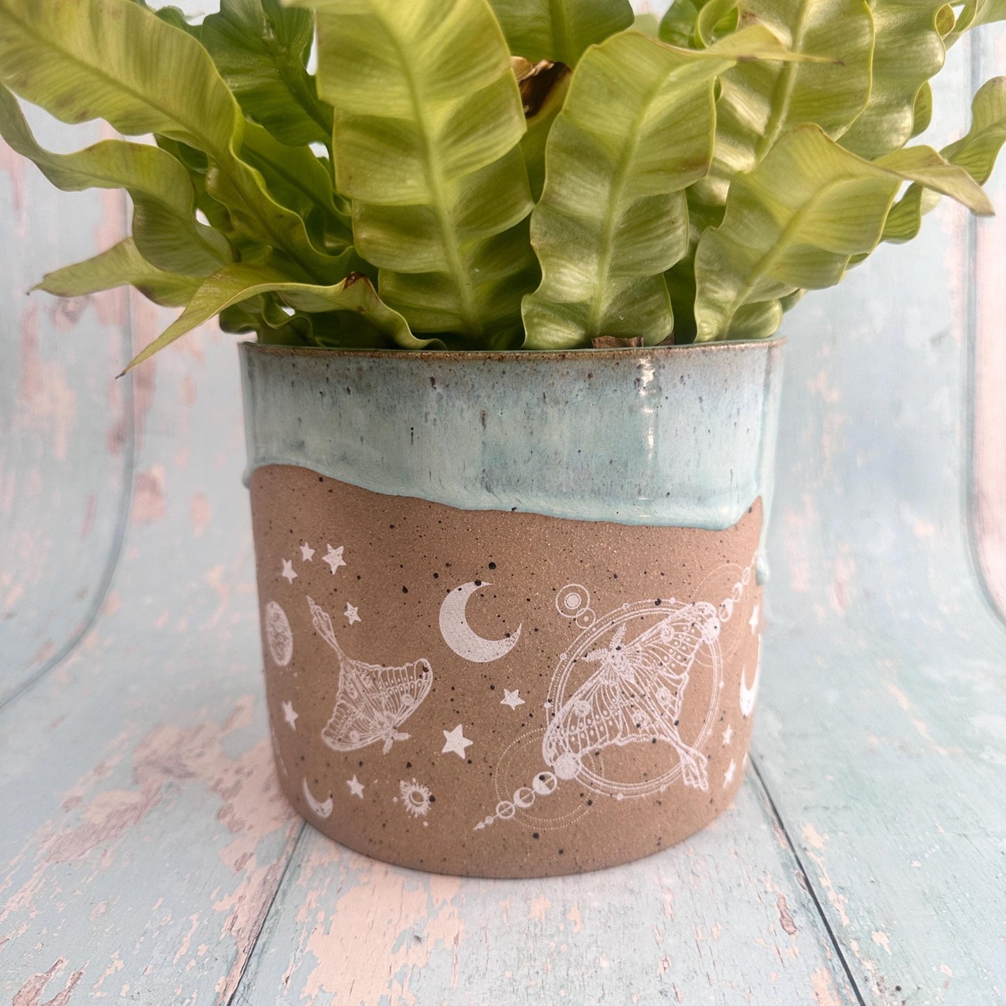 Aqua Green Moth and Moon Ceramic Planter, Indoor Plant Pot - FJD Ceramics