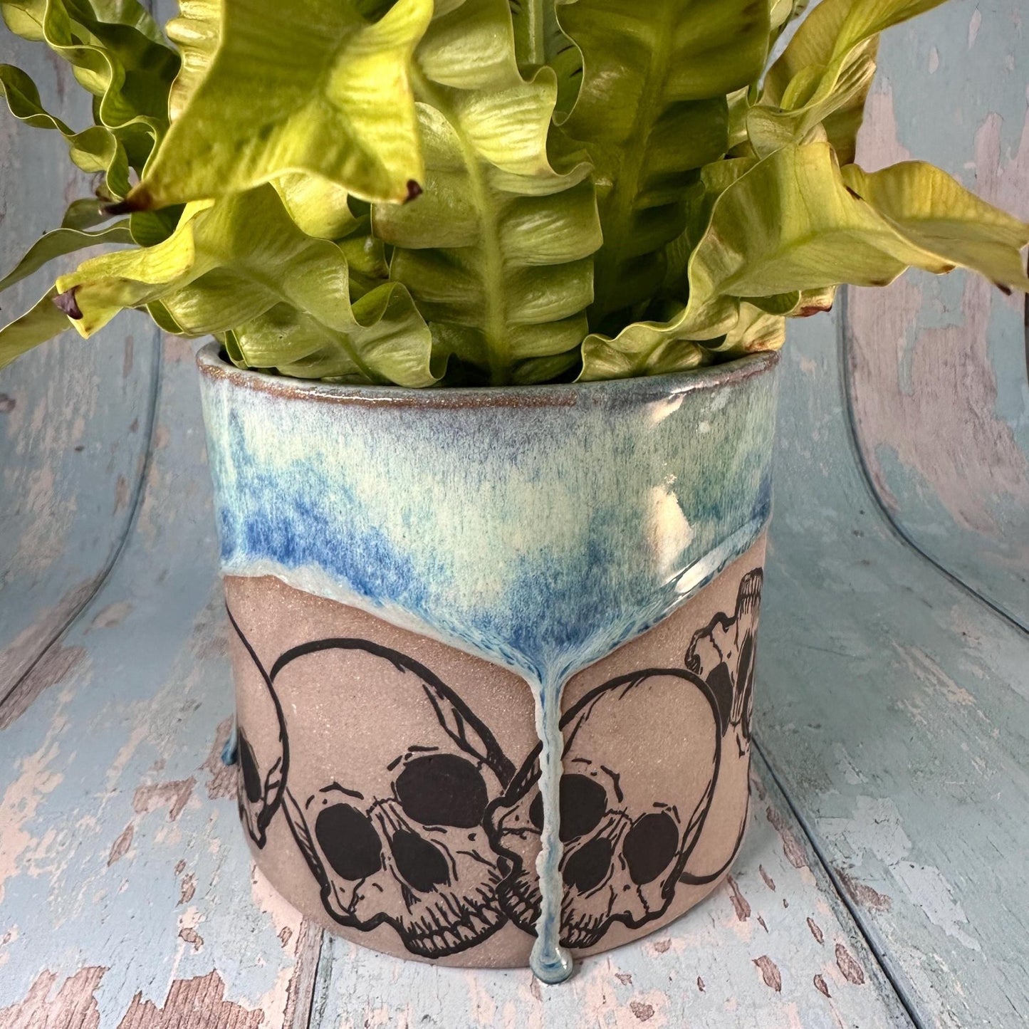 Blue and Grey Skull Planter, Ceramic Plant Pot - FJD Ceramics