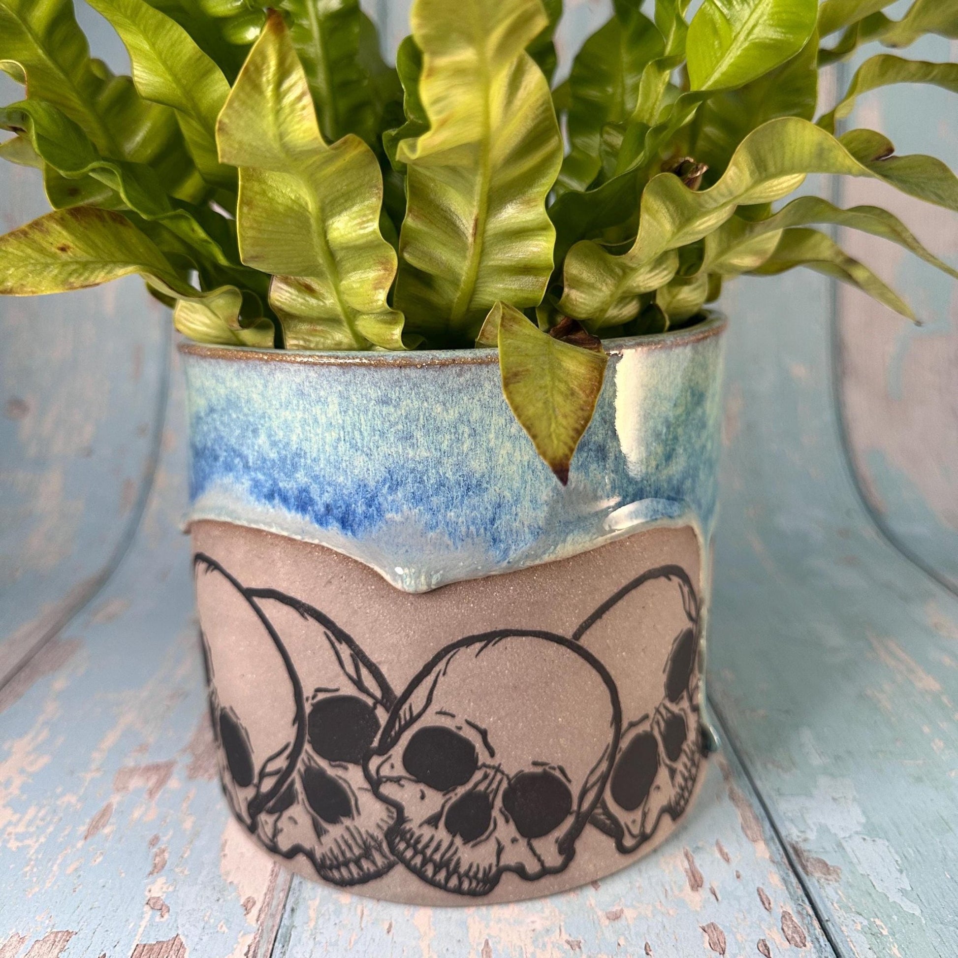 Blue and Grey Skull Planter, Ceramic Plant Pot - FJD Ceramics