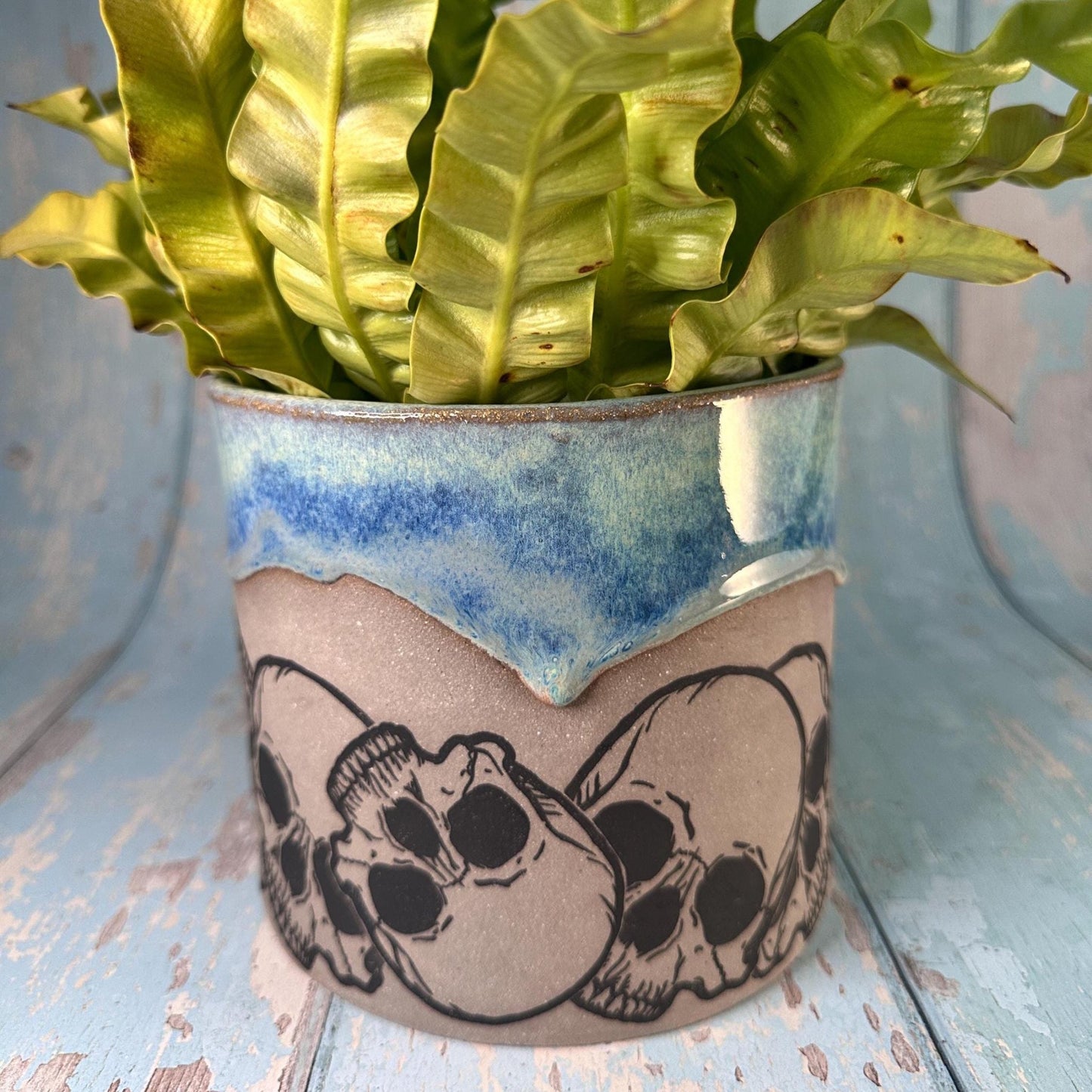 Blue and Grey Skull Planter, Ceramic Plant Pot - FJD Ceramics