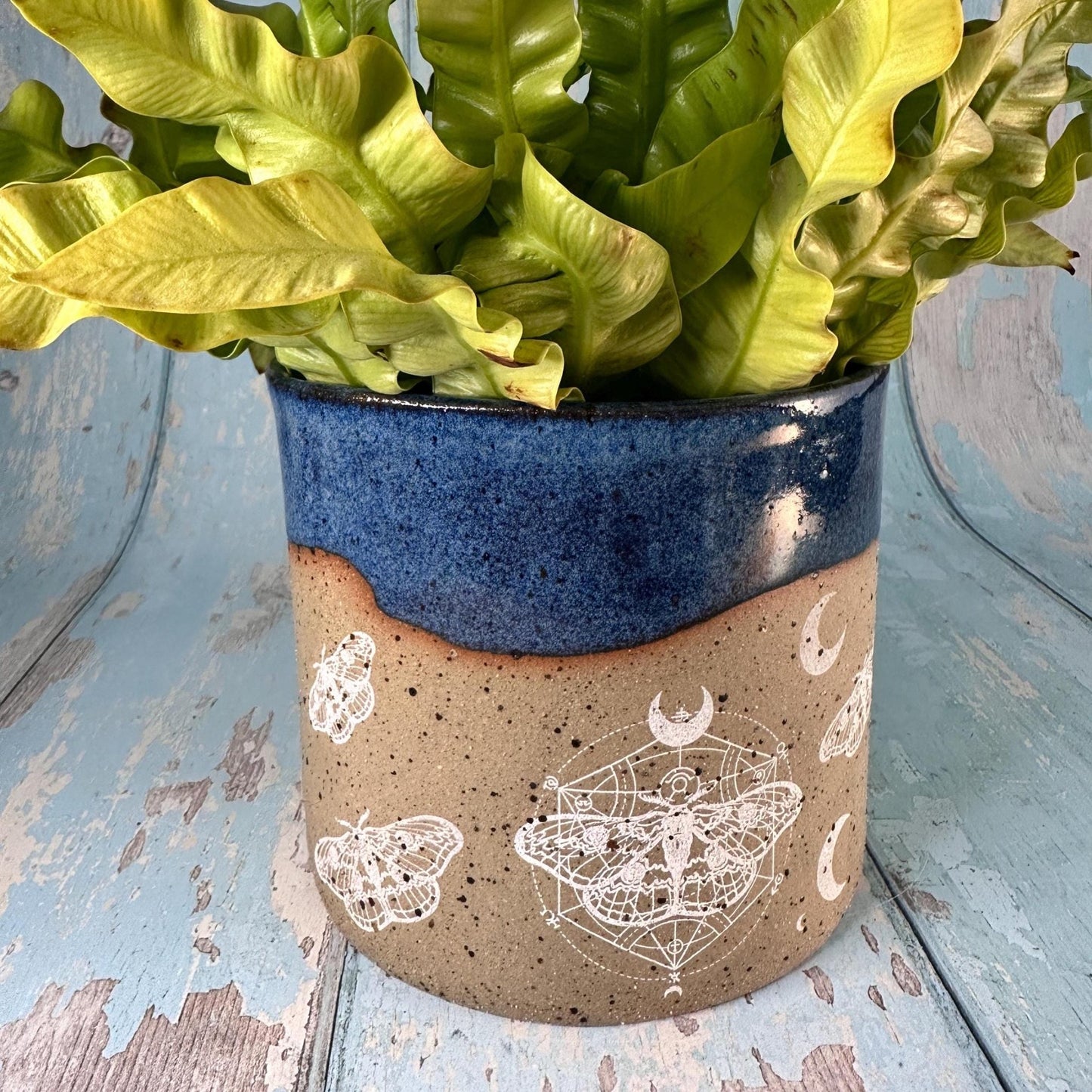 Blue Moth and Moon Ceramic Planter, Indoor Plant Pot - FJD Ceramics