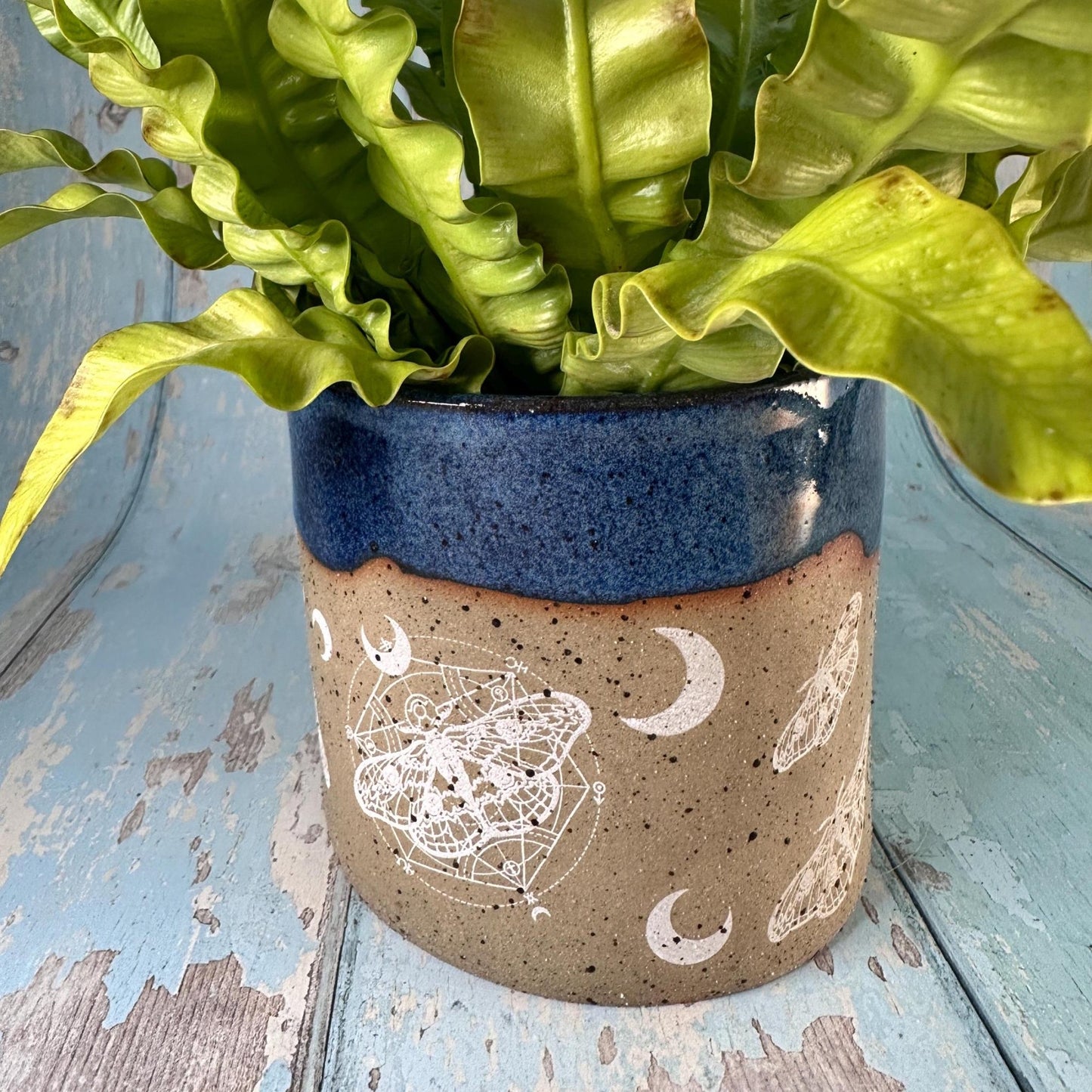 Blue Moth and Moon Ceramic Planter, Indoor Plant Pot - FJD Ceramics