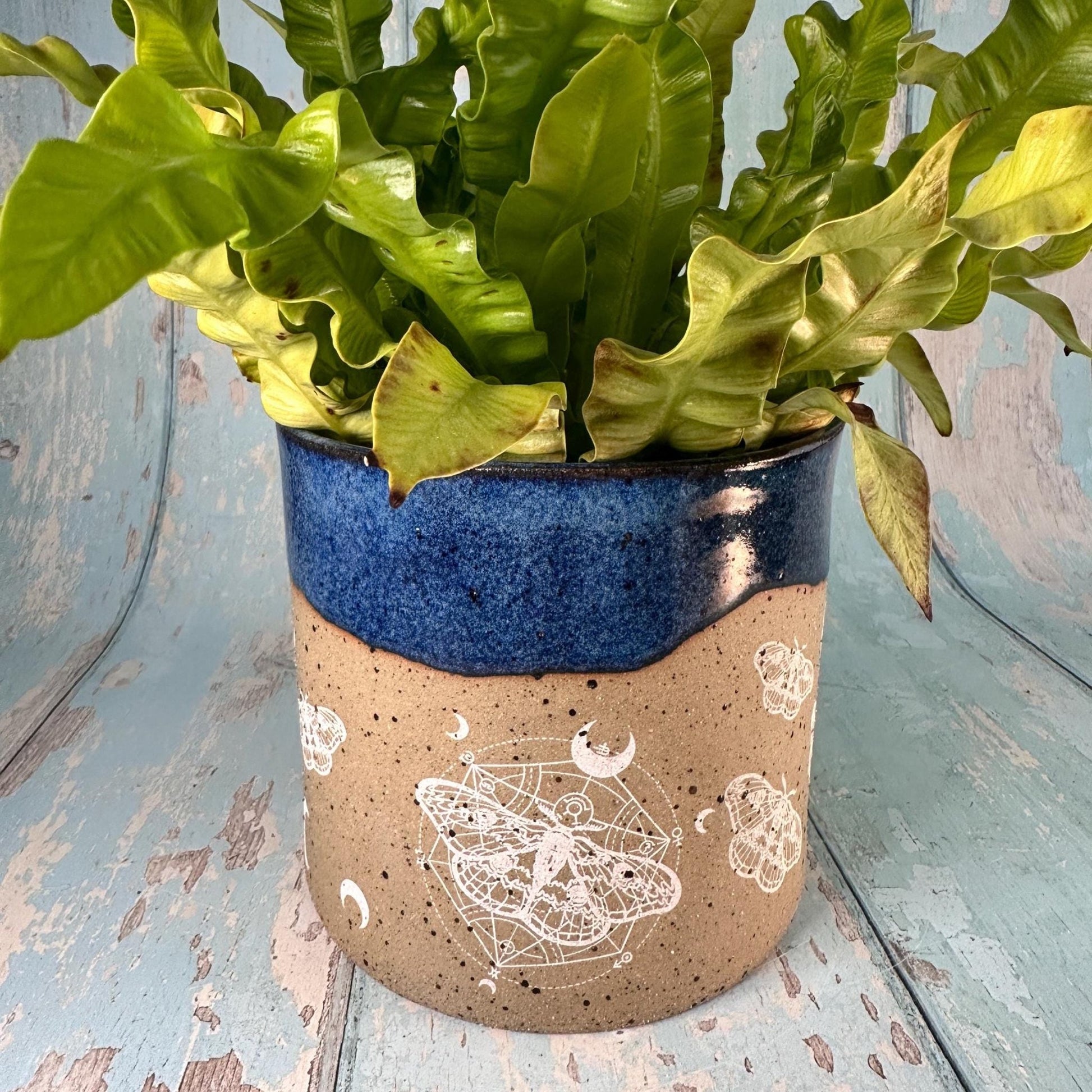 Blue Moth and Moon Ceramic Planter, Indoor Plant Pot - FJD Ceramics