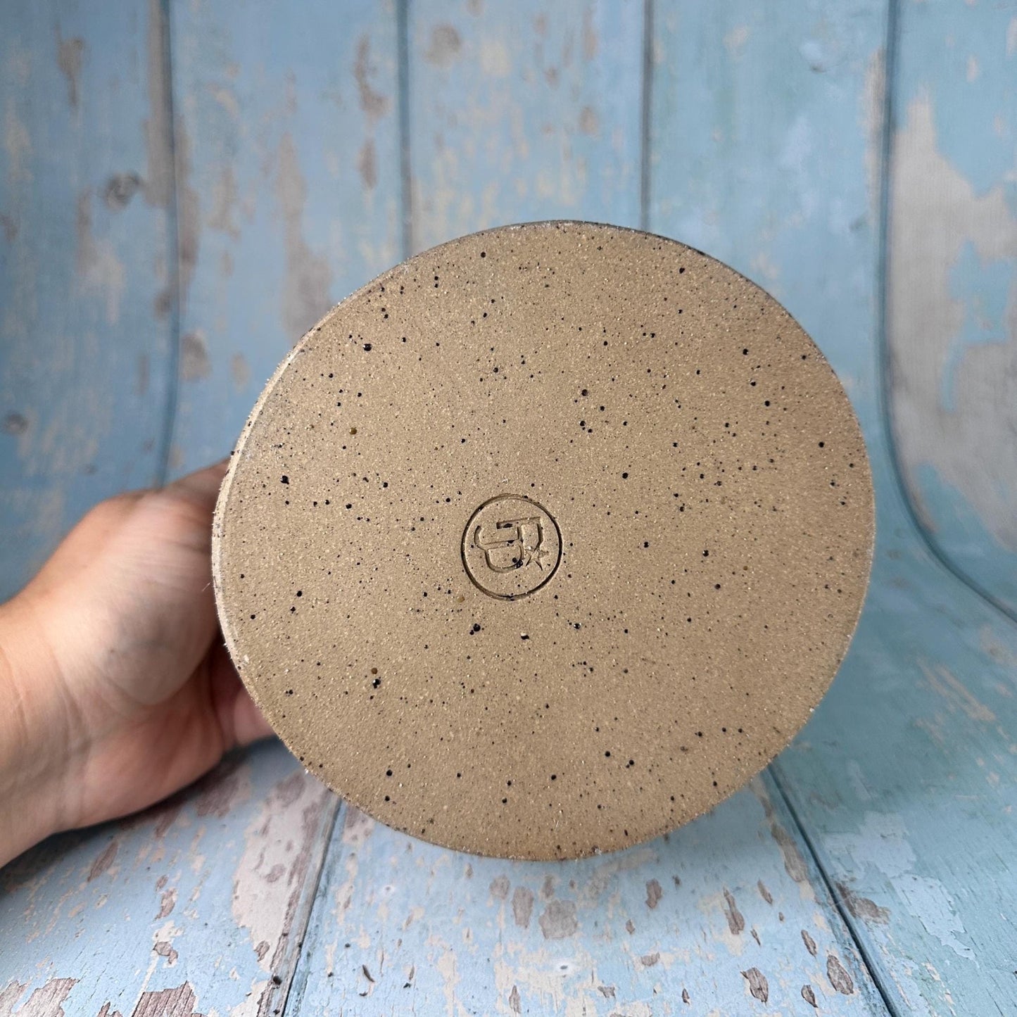 Blue Moth and Moon Ceramic Planter, Indoor Plant Pot - FJD Ceramics