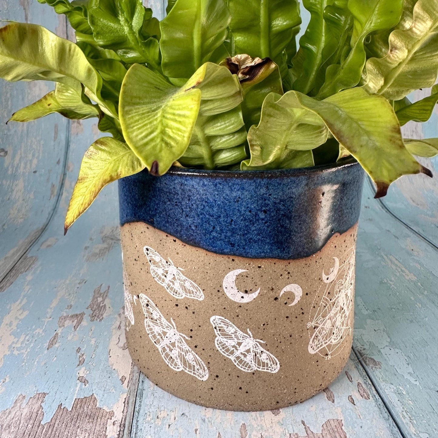Blue Moth and Moon Ceramic Planter, Indoor Plant Pot - FJD Ceramics
