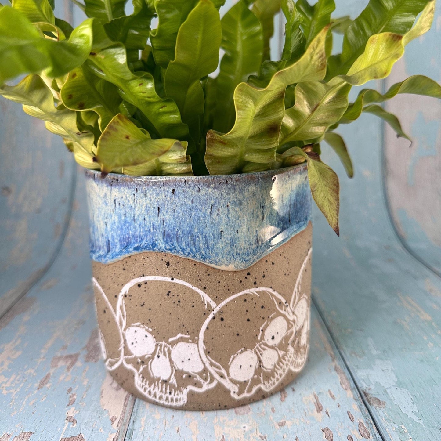 Blue Skull Planter, Ceramic Plant Pot - FJD Ceramics