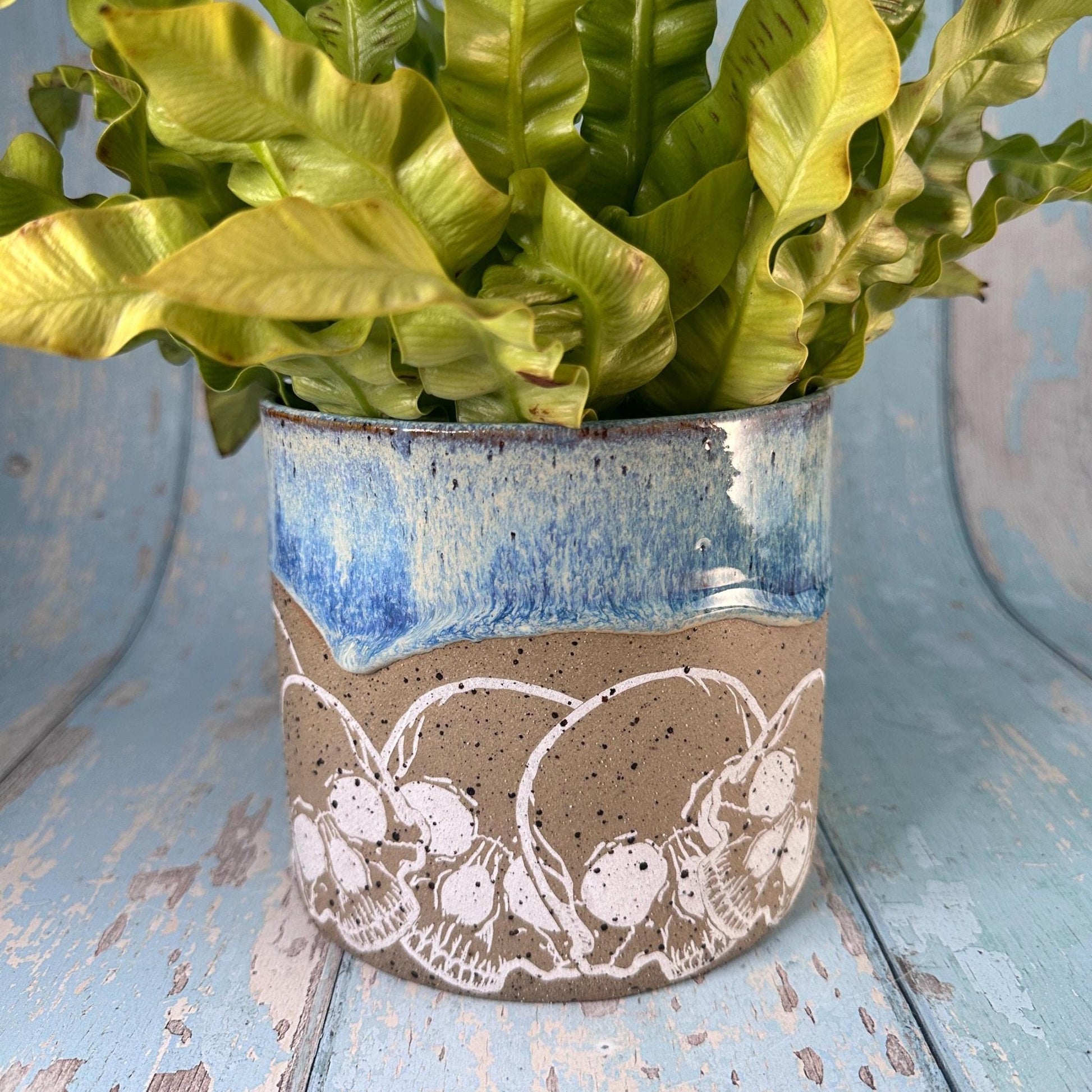 Blue Skull Planter, Ceramic Plant Pot - FJD Ceramics