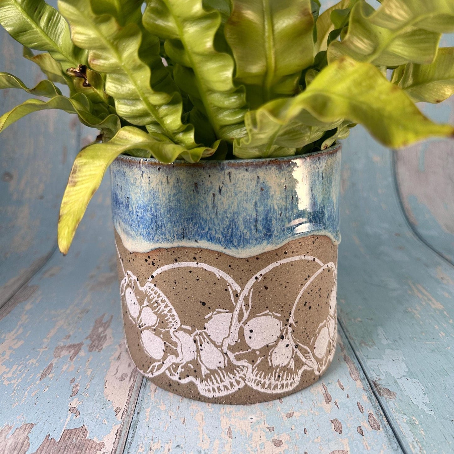 Blue Skull Planter, Ceramic Plant Pot - FJD Ceramics