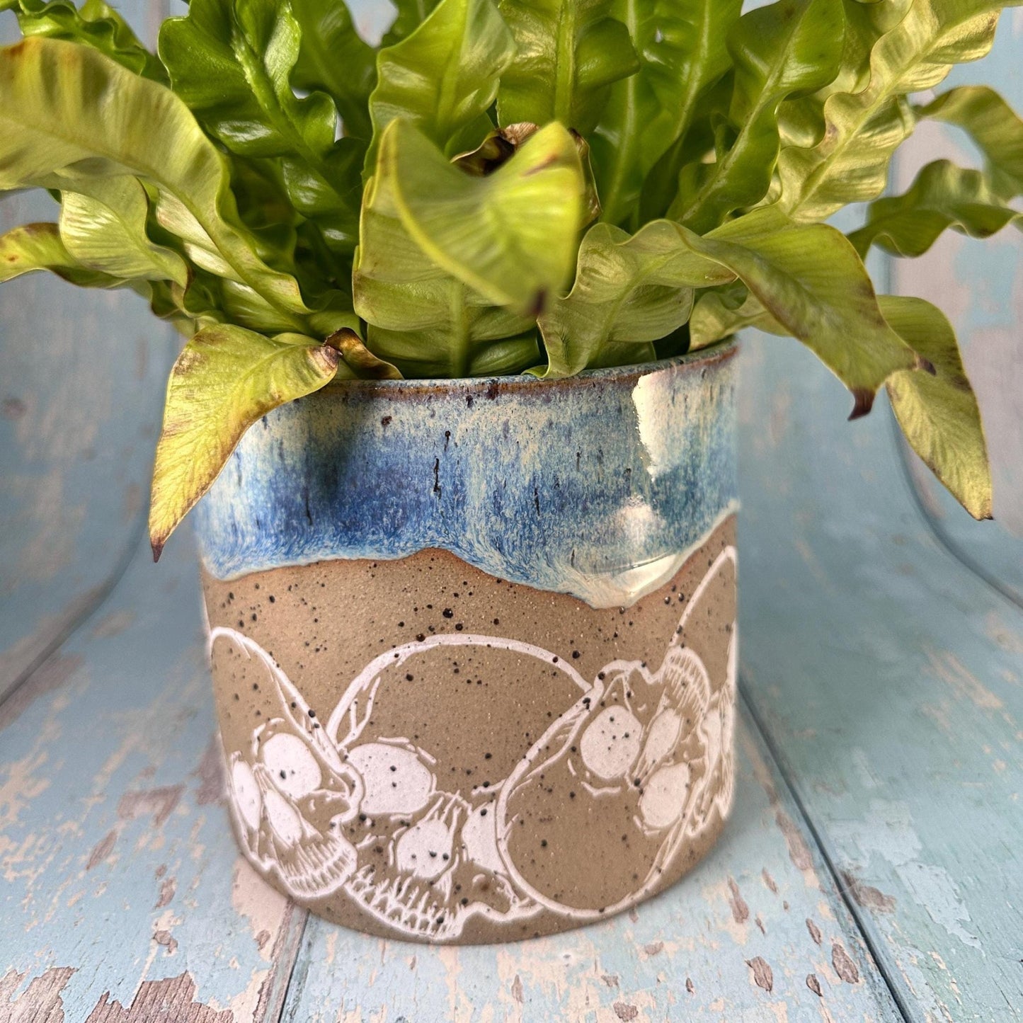 Blue Skull Planter, Ceramic Plant Pot - FJD Ceramics