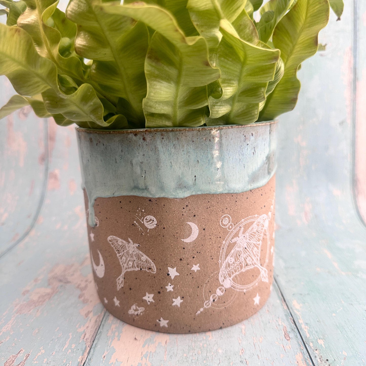 Aqua Green Moth and Moon Ceramic Planter, Indoor Plant Pot