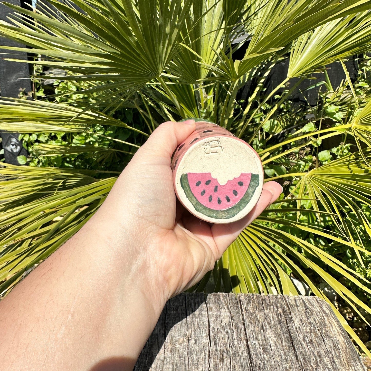 Ceramic Watermelon Drinks Tall Tumbler, Large Pink and Green Water Cup - FJD Ceramics