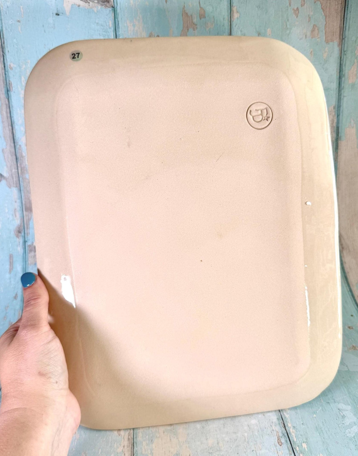 Colourful Insect Platter, Large Handmade Rectangle Ceramic Plate - FJD Ceramics