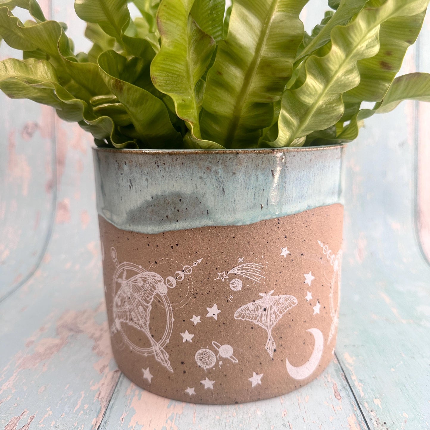 Aqua Green Moth and Moon Ceramic Planter, Indoor Plant Pot
