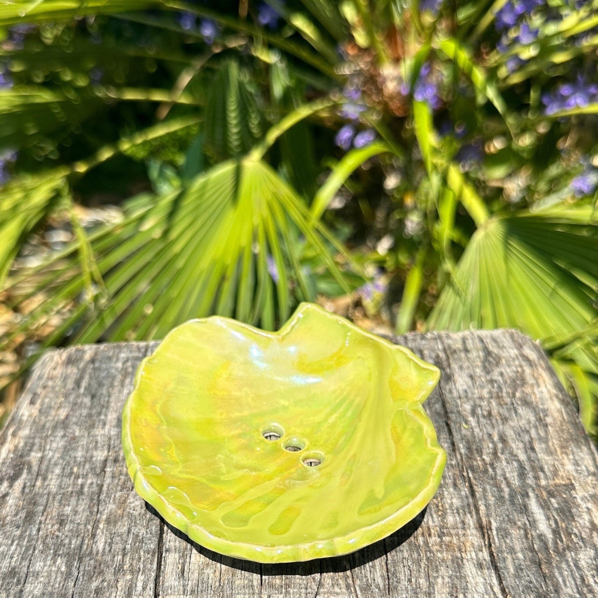 Green Soap Dish, Ceramic Sea Shell - FJD Ceramics