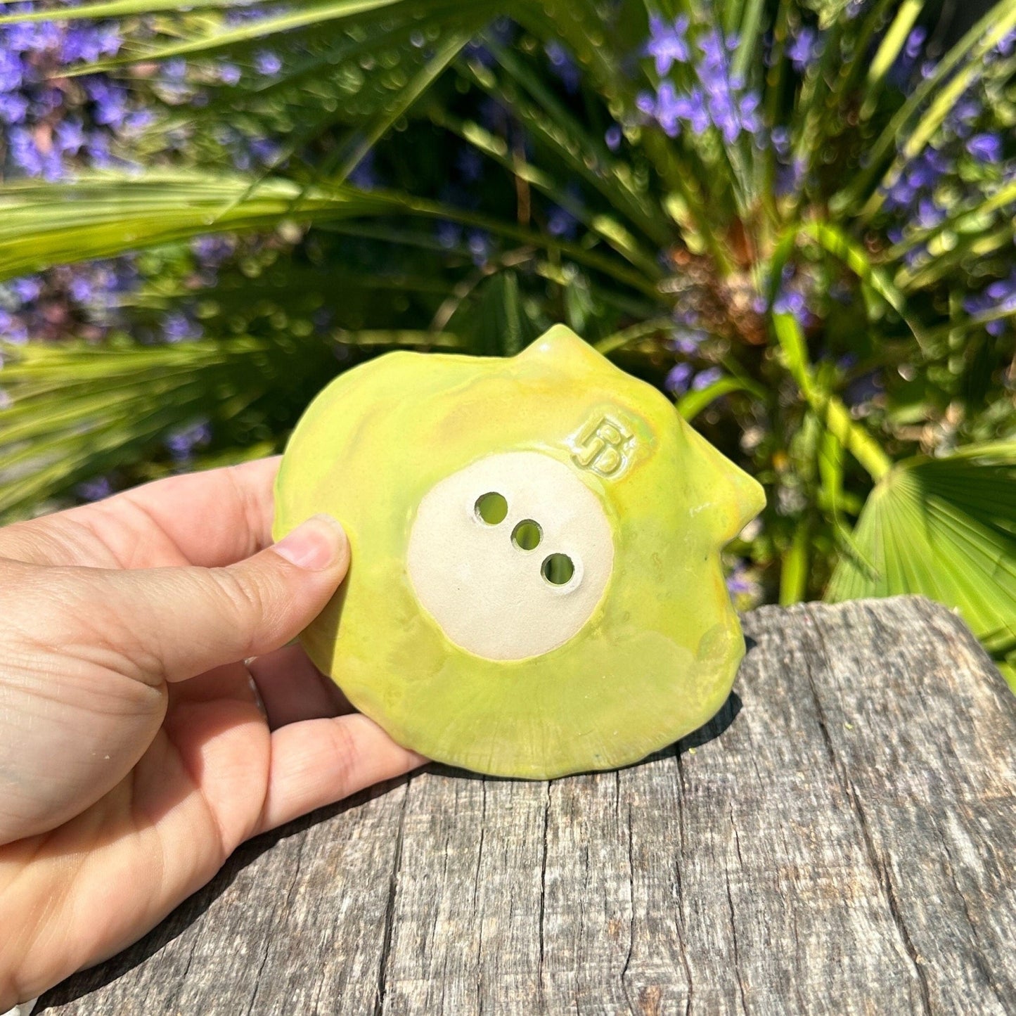 Green Soap Dish, Ceramic Sea Shell - FJD Ceramics