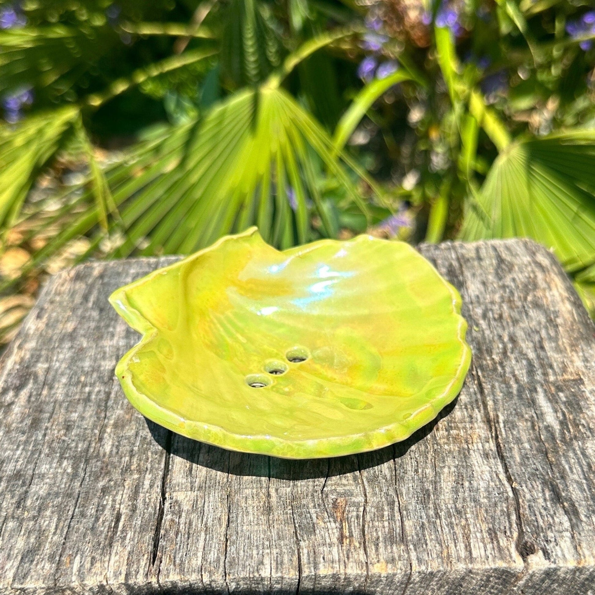 Green Soap Dish, Ceramic Sea Shell - FJD Ceramics