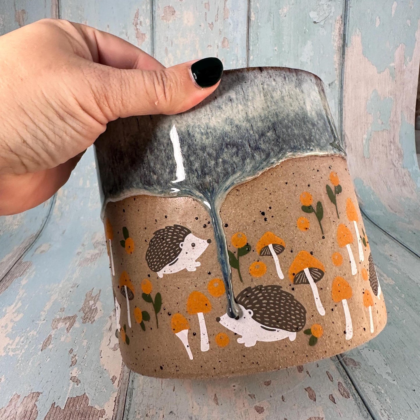 Hedgehog Planter, Ceramic Plant Pot - FJD Ceramics