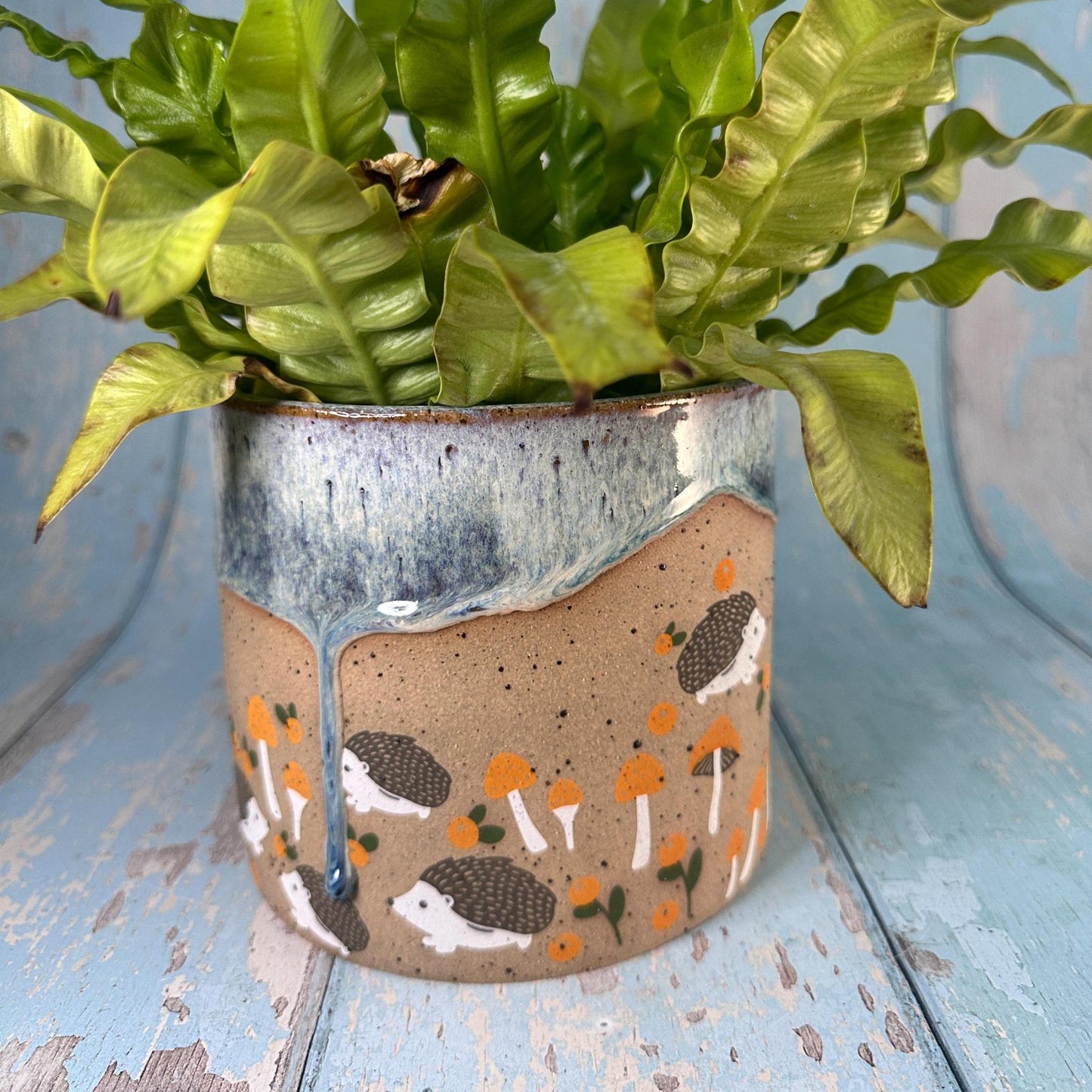 Hedgehog Planter, Ceramic Plant Pot - FJD Ceramics