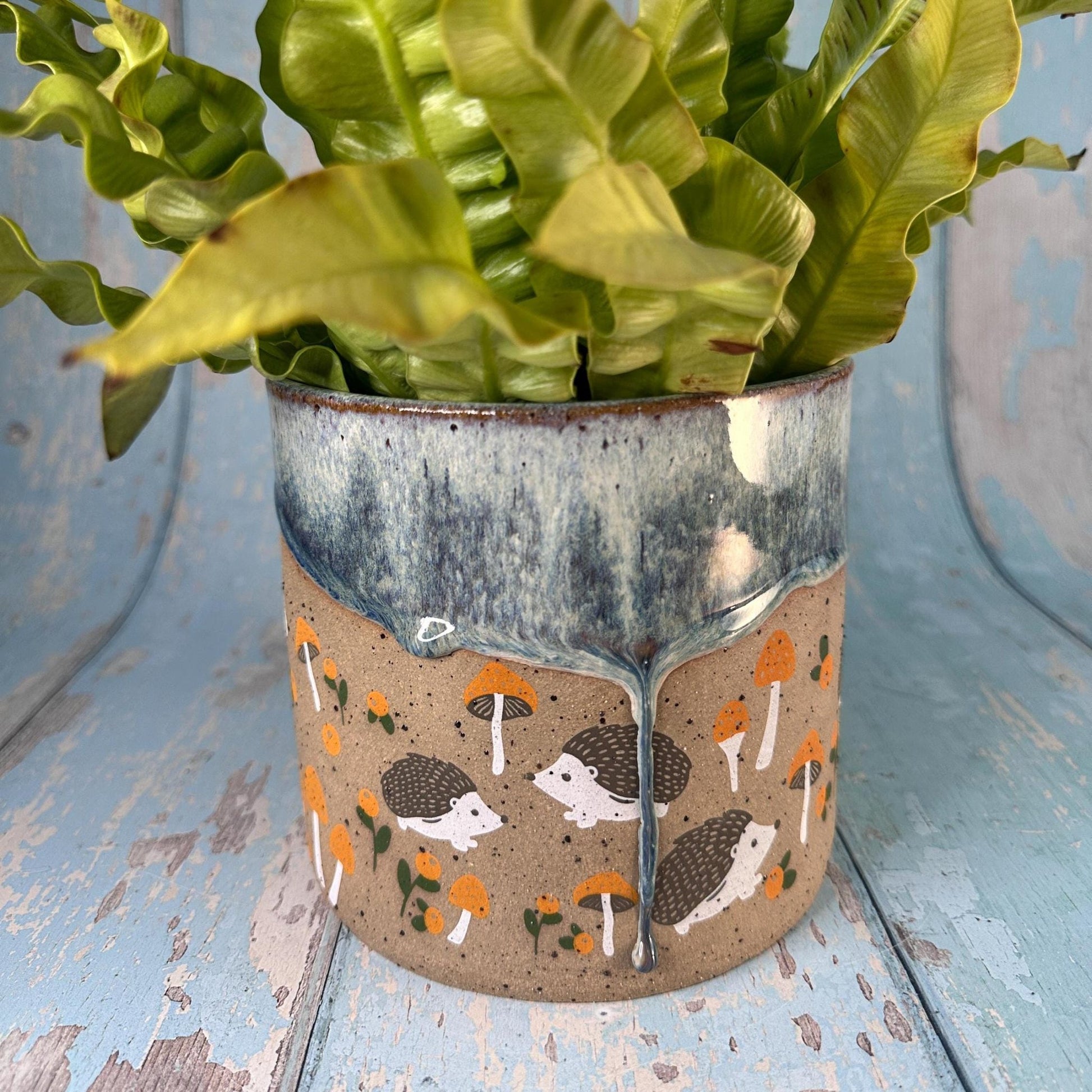 Hedgehog Planter, Ceramic Plant Pot - FJD Ceramics