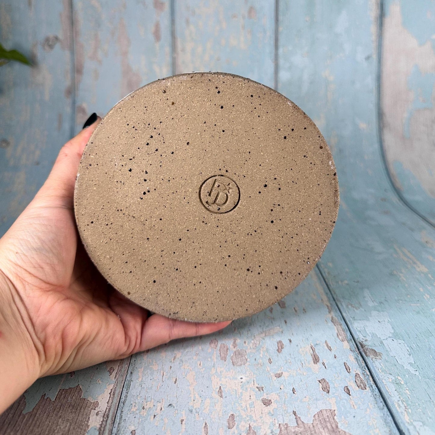 Hedgehog Planter, Ceramic Plant Pot - FJD Ceramics