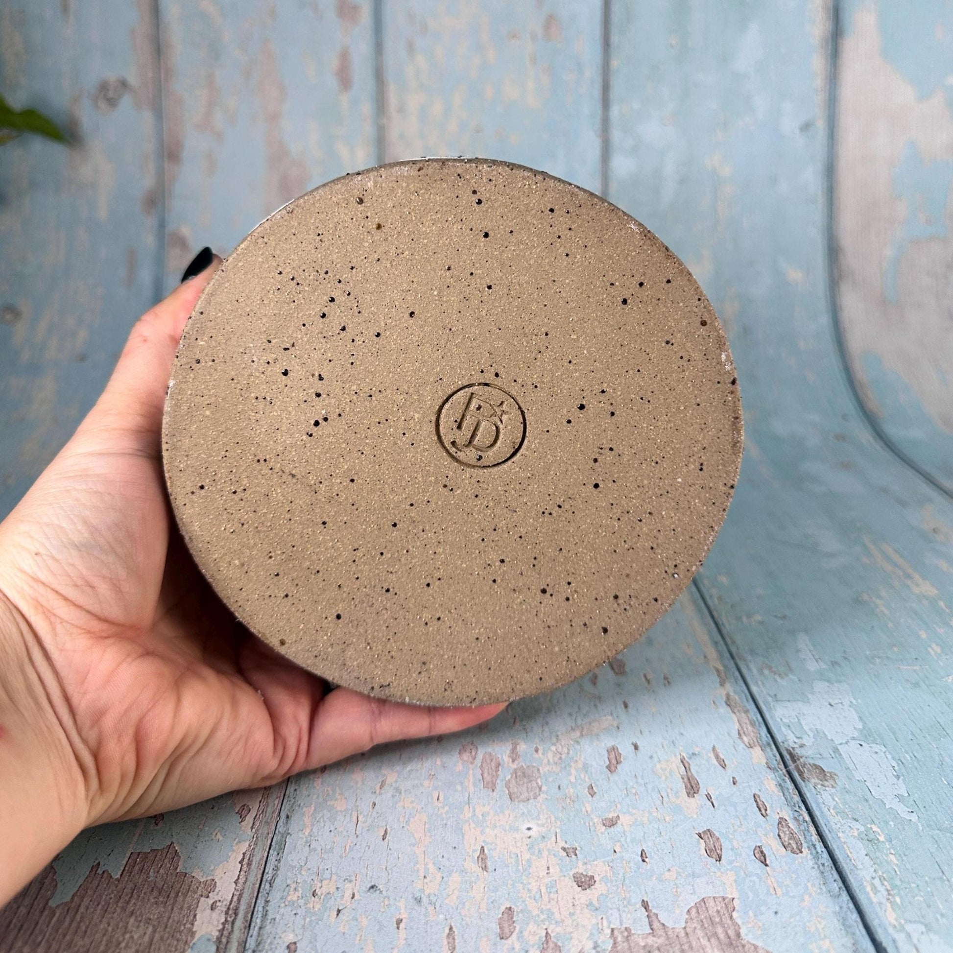 Hedgehog Planter, Ceramic Plant Pot - FJD Ceramics