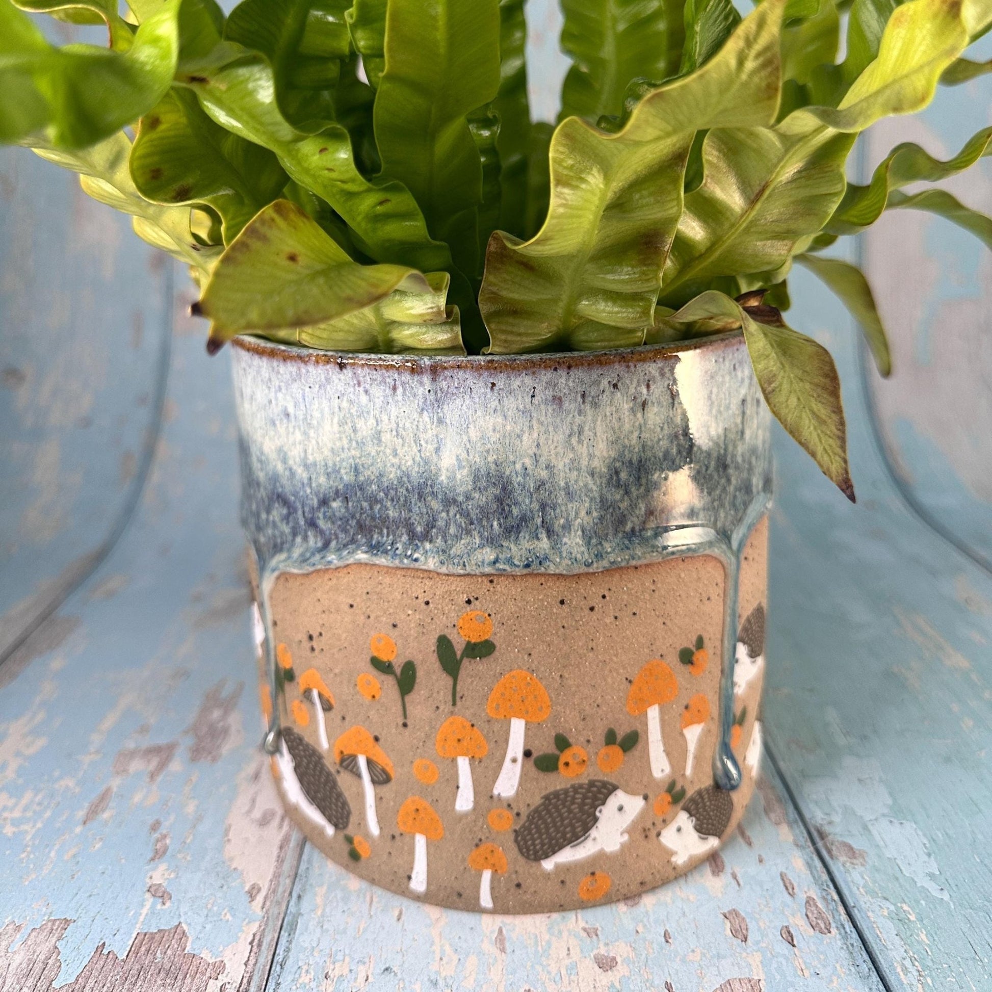 Hedgehog Planter, Ceramic Plant Pot - FJD Ceramics