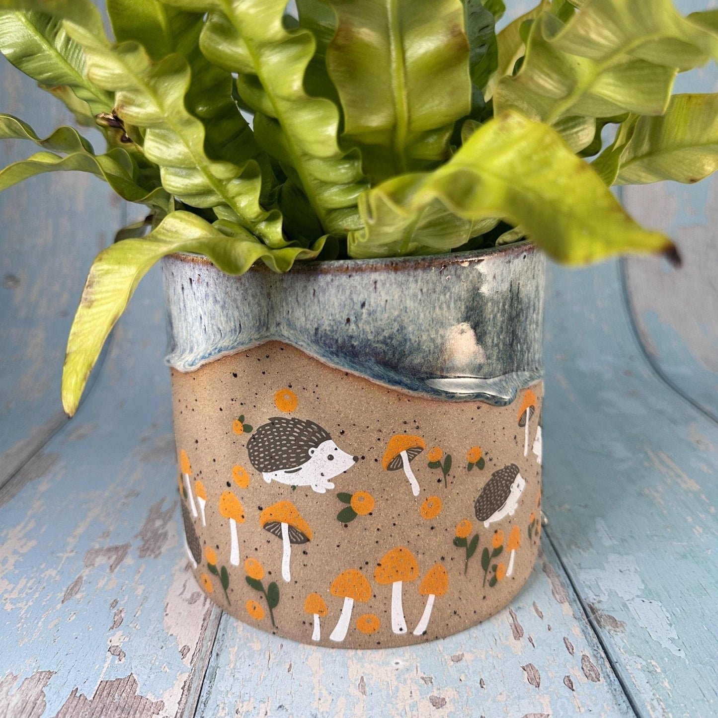 Hedgehog Planter, Ceramic Plant Pot - FJD Ceramics