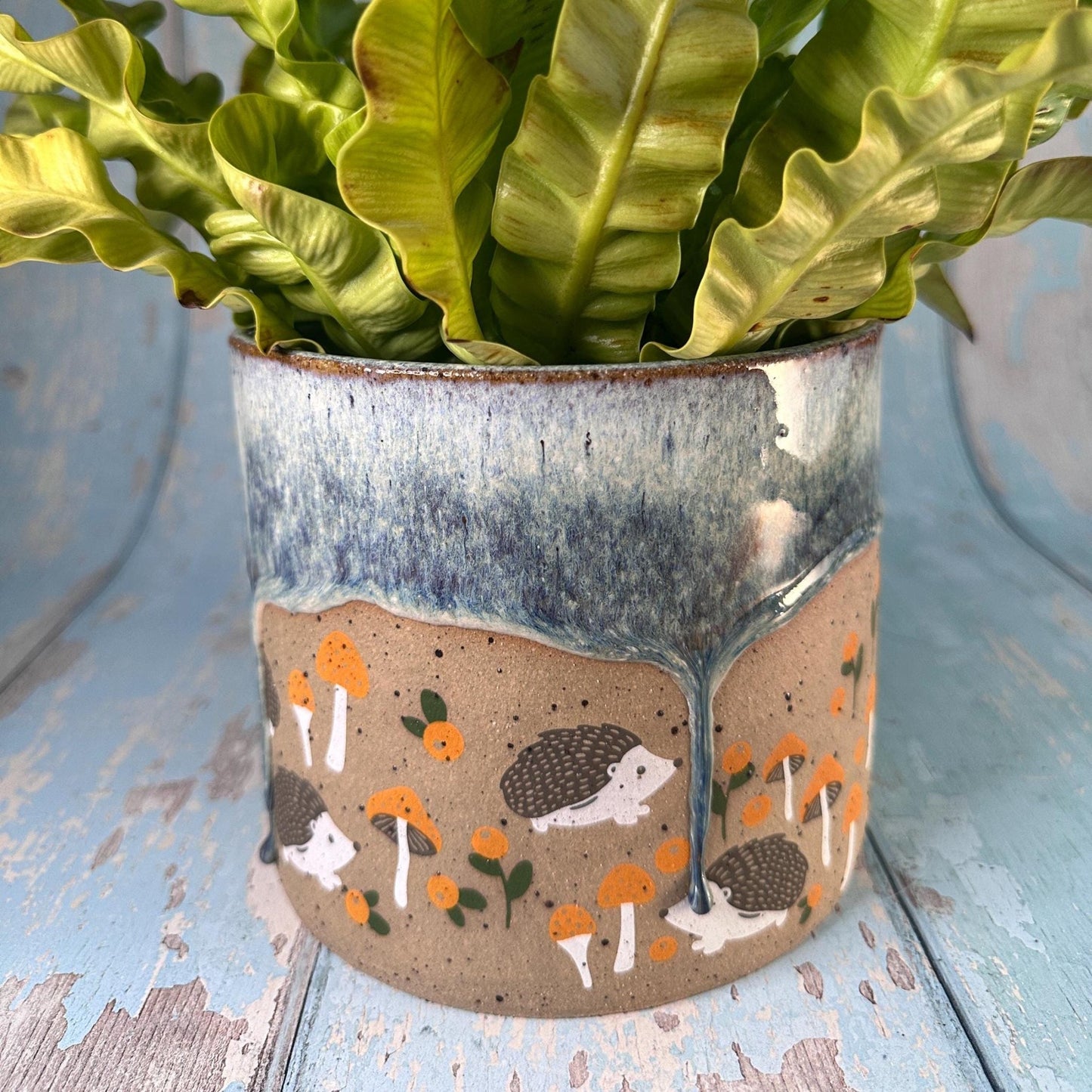 Hedgehog Planter, Ceramic Plant Pot - FJD Ceramics