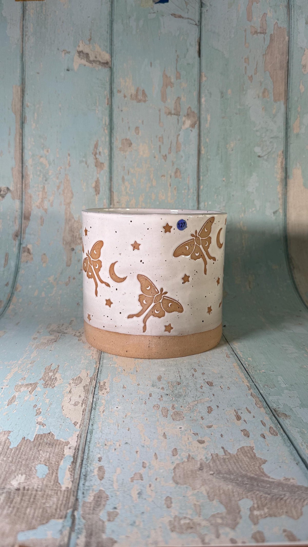 White Luna Moth and Moon Ceramic Planter, Indoor Plant Pot