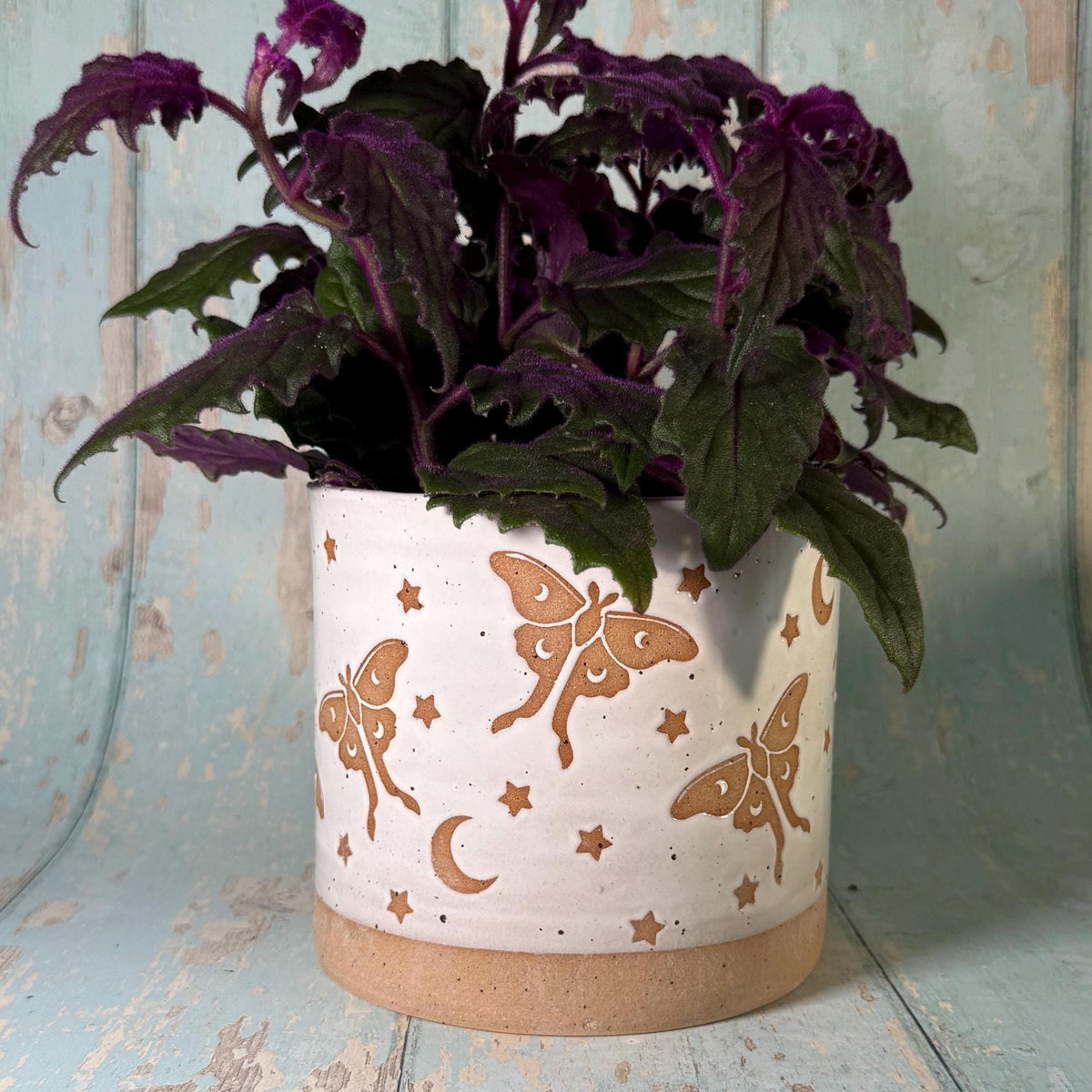 White Luna Moth and Moon Ceramic Planter, Indoor Plant Pot