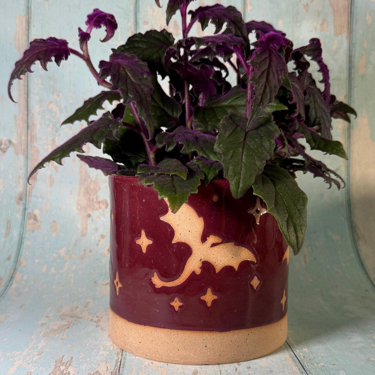 Red Dragon Planter, Ceramic Plant Pot
