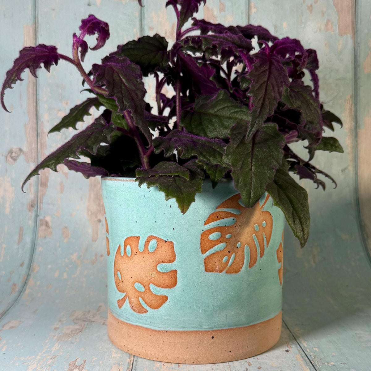 Aqua Green Monstera Planter, Ceramic Plant Pot