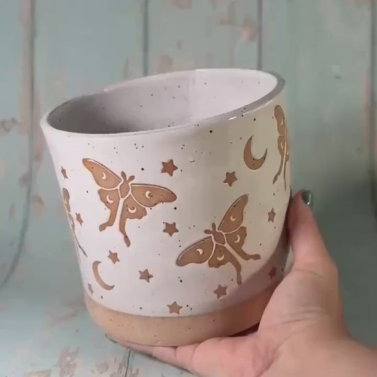 White Luna Moth and Moon Ceramic Planter, Indoor Plant Pot