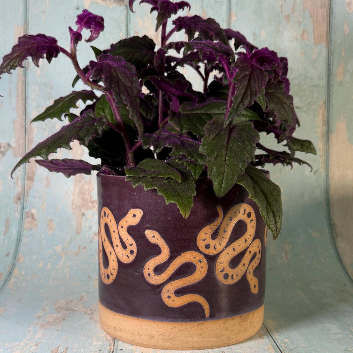 Purple Snake Planter, Ceramic Plant Pot - FJD Ceramics
