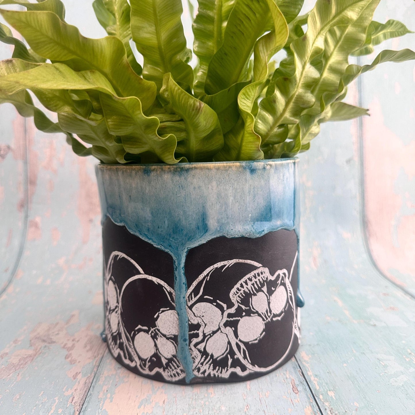 Teal and Black Skull Planter, Ceramic Plant Pot - Second - FJD Ceramics