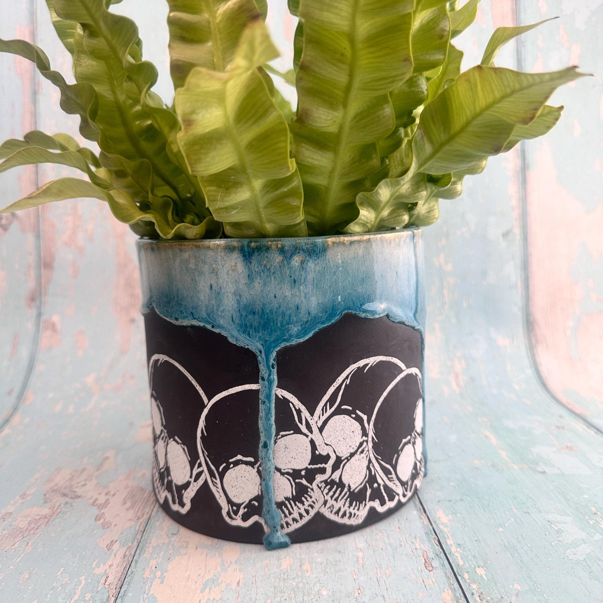 Teal and Black Skull Planter, Ceramic Plant Pot - Second - FJD Ceramics