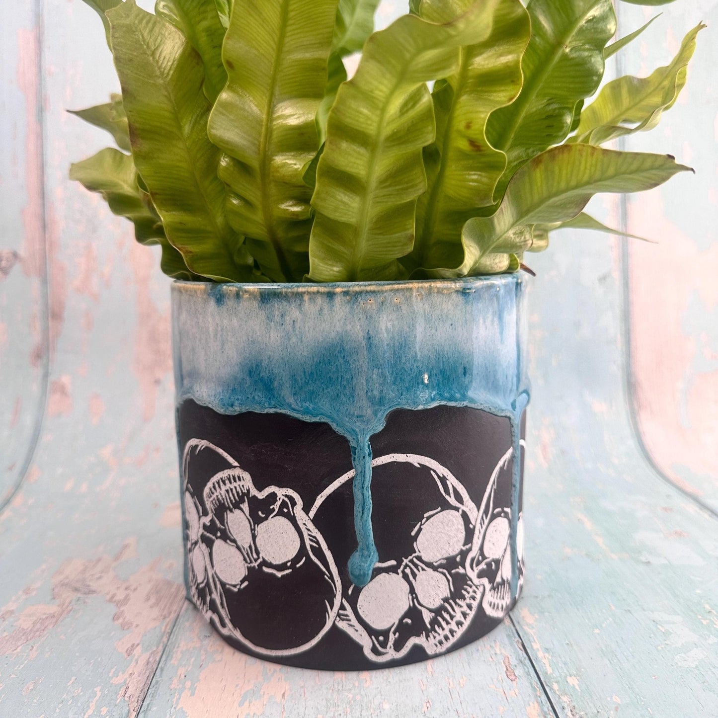 Teal and Black Skull Planter, Ceramic Plant Pot - Second - FJD Ceramics