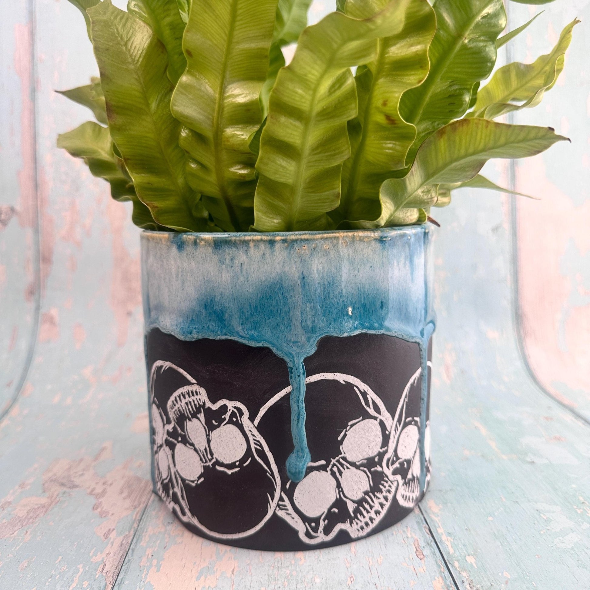 Teal and Black Skull Planter, Ceramic Plant Pot - Second - FJD Ceramics