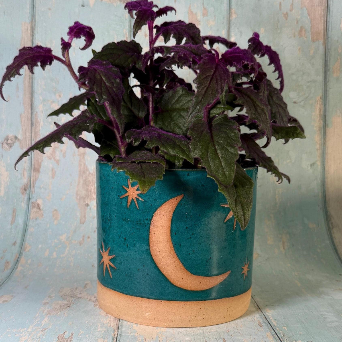 Teal Green Moon and Star Planter, Ceramic Plant Pot - FJD Ceramics