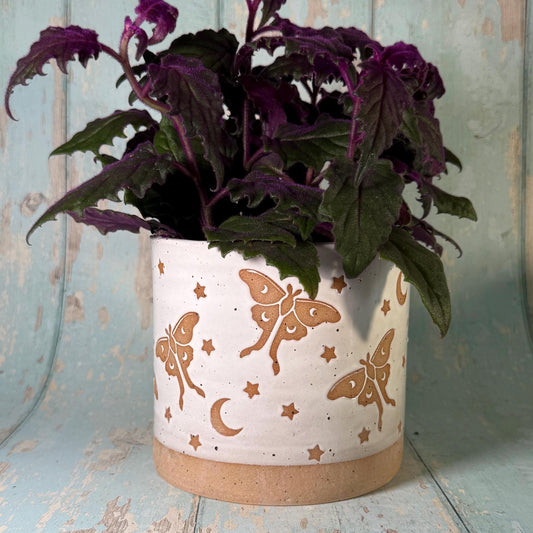 White Luna Moth and Moon Ceramic Planter, Indoor Plant Pot - FJD Ceramics