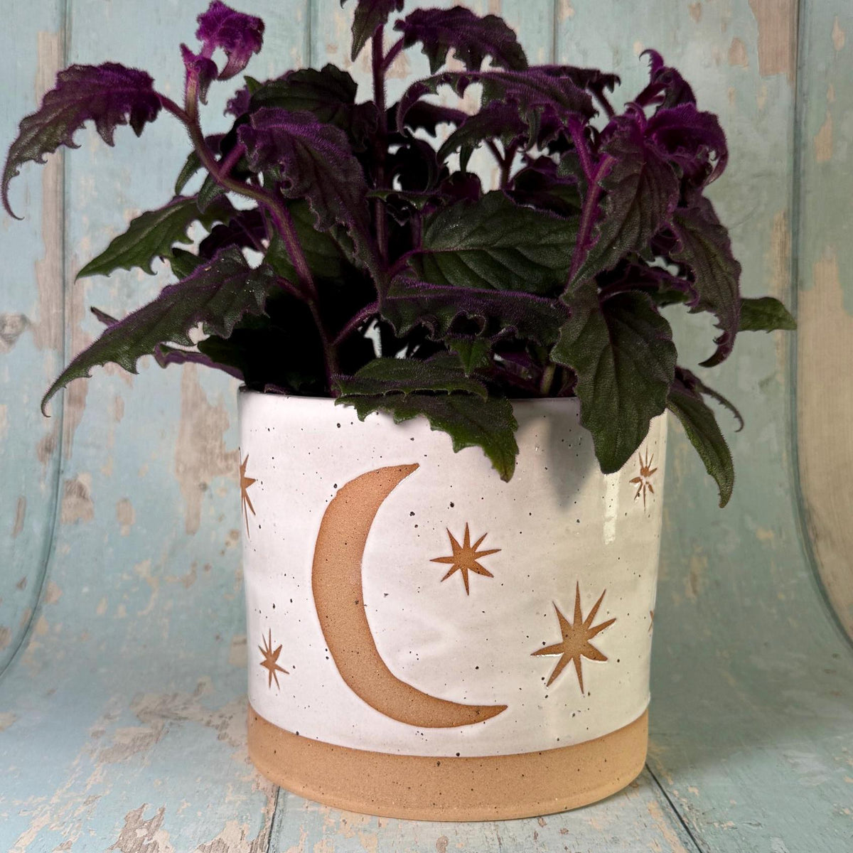 White Moon and Star Planter, Ceramic Plant Pot - FJD Ceramics